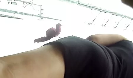 Black Nipple با یکی از اعضای بارمن کار می کند عکس سکسی کیر دراز
