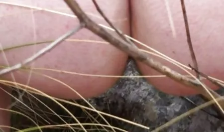 مرد لعنتی عوضی تجاری در عكس كير عرب اتاق هتل